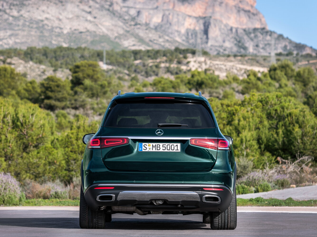 Mercedes-Benz GLS II (X167), 2020, фото 3