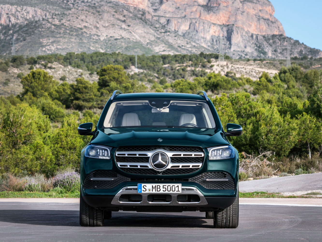Mercedes-Benz GLS II (X167), 2020, фото 6