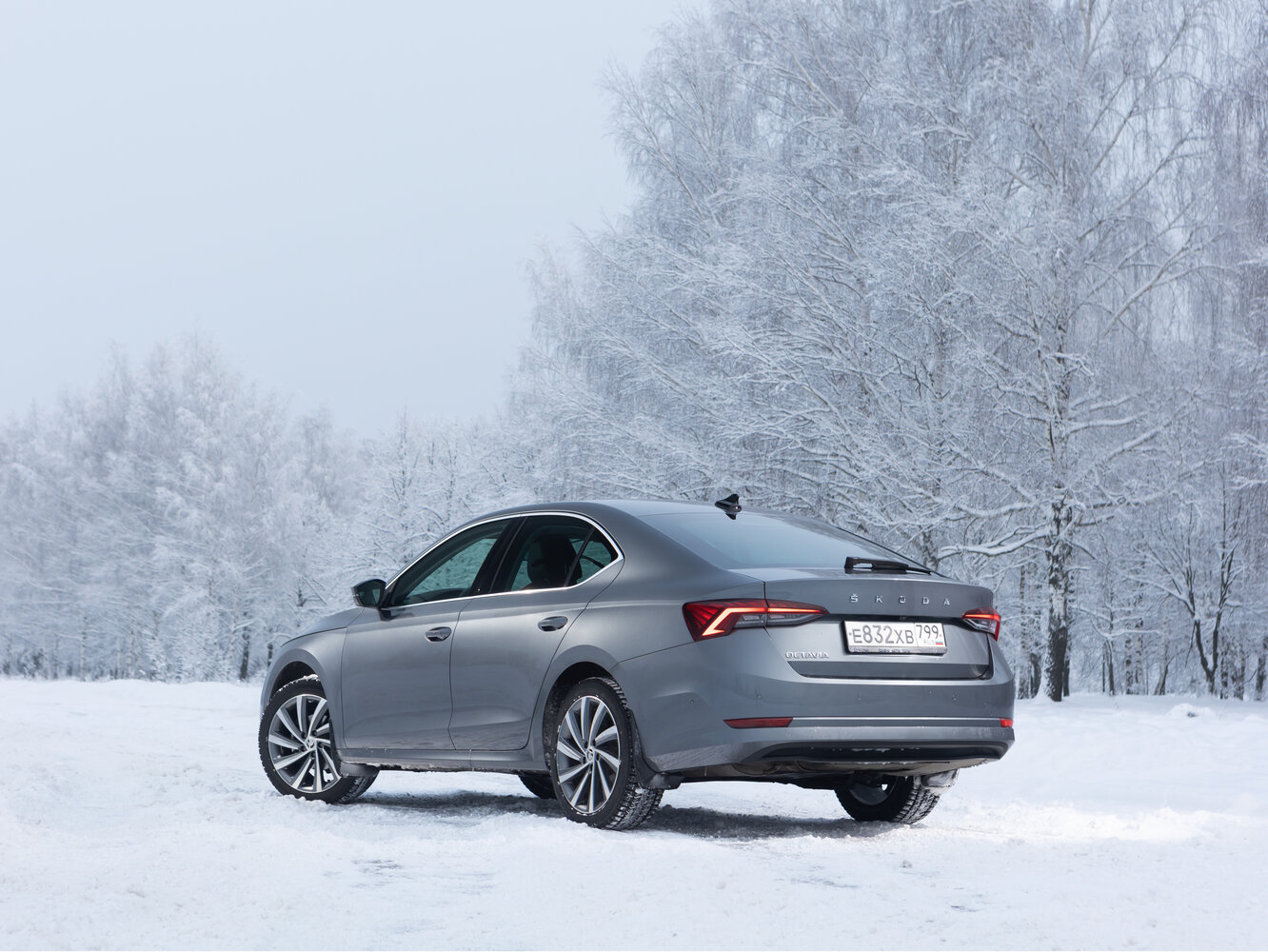Skoda Octavia IV (A8), 2020, фото 19