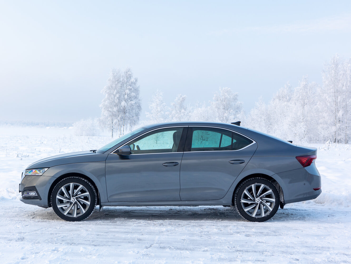 Skoda Octavia IV (A8), 2020, фото 33