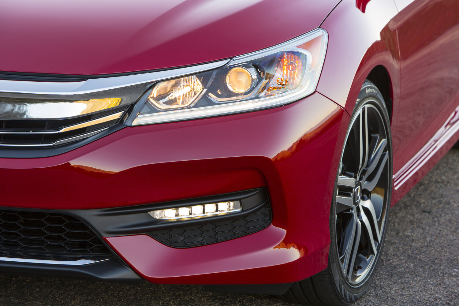 Honda Accord IX Рестайлинг, 2019, фото 6