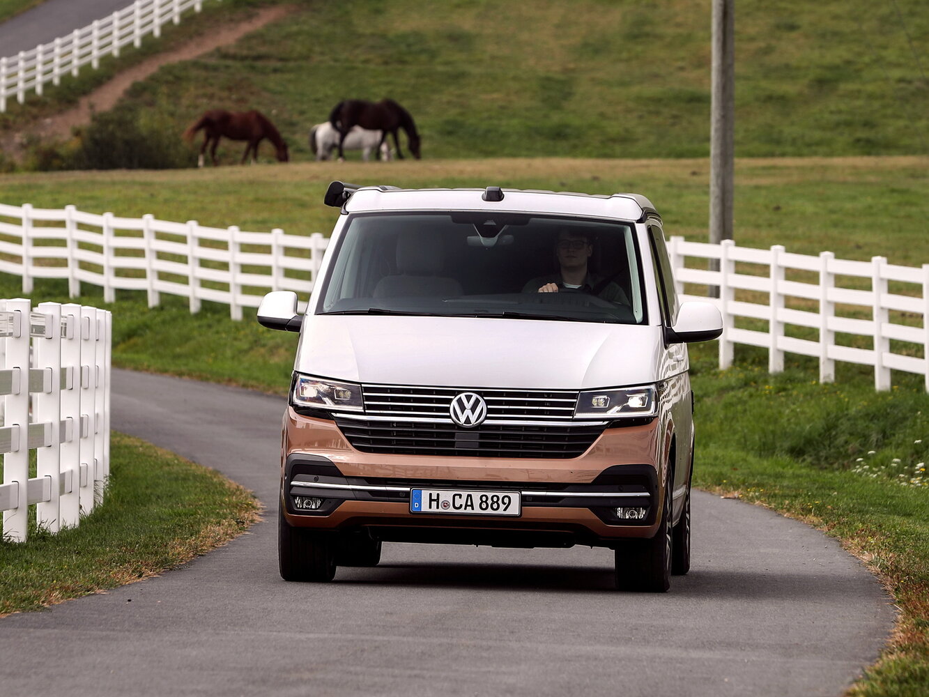Volkswagen California T6 Рестайлинг, 2021, фото 3
