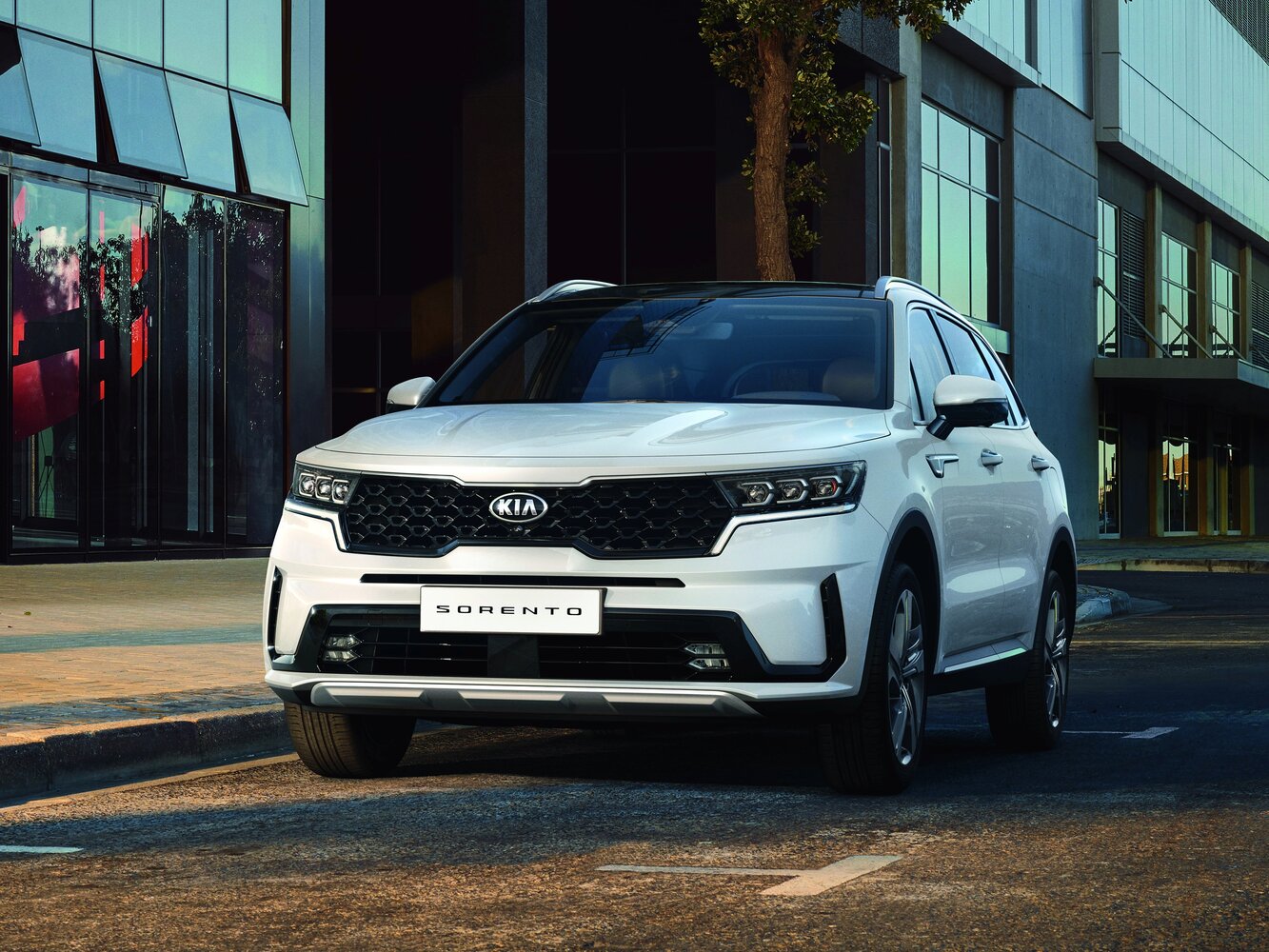 Kia Sorento IV, 2023, фото 28