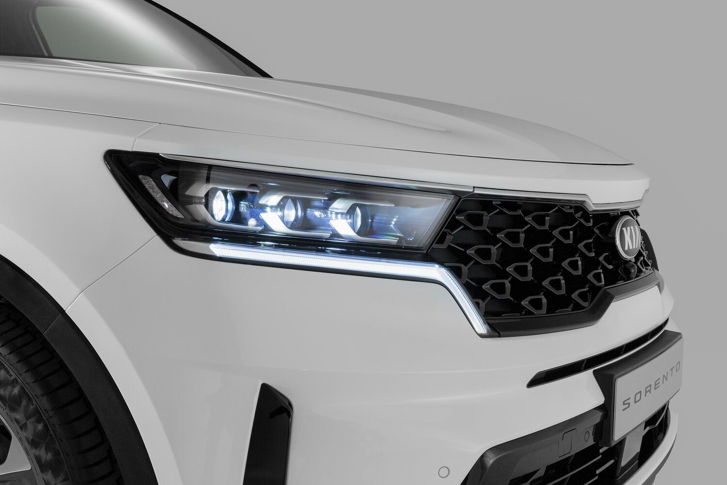 Kia Sorento IV, 2023, фото 6