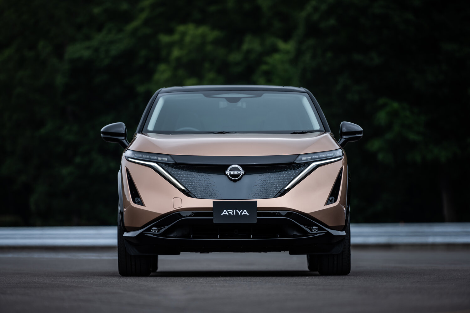 Nissan Ariya I, 2022, фото 6