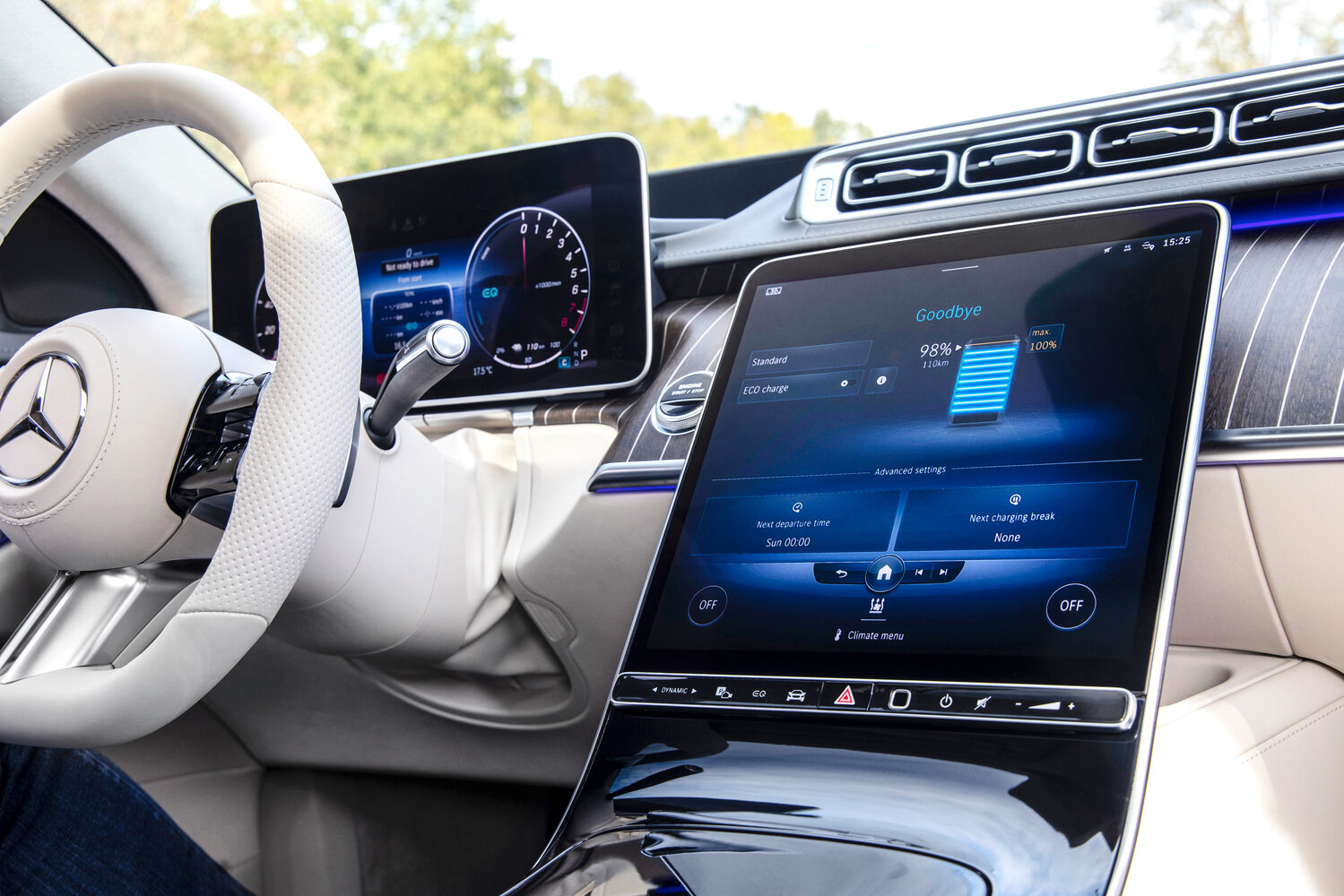 Mercedes-Benz S-Класс VII (W223), 2020, фото 12