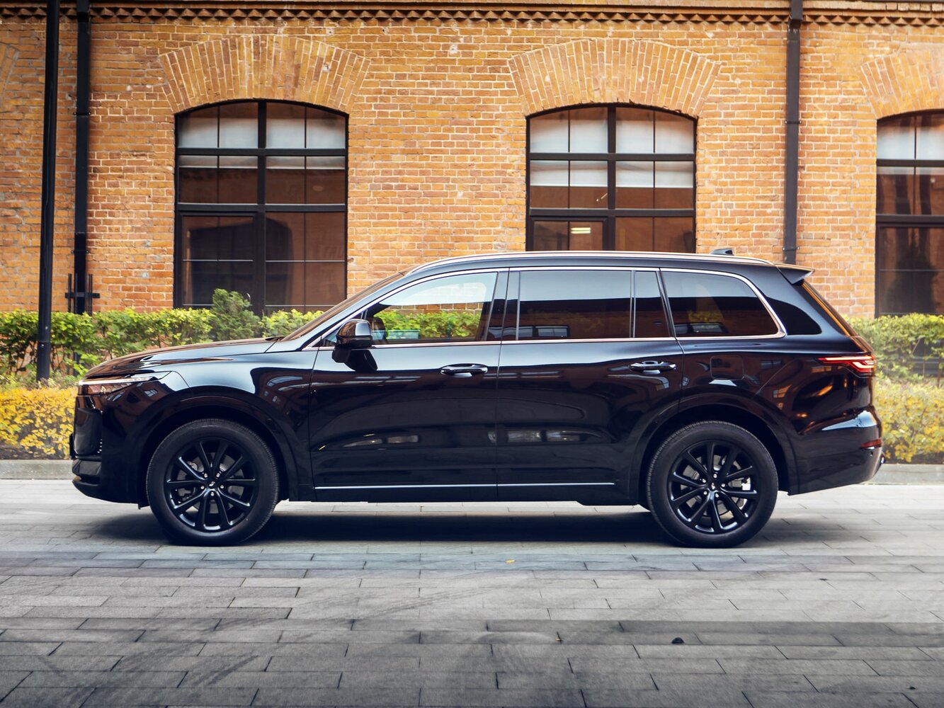 Li Auto (Lixiang) One, 2019, фото 14