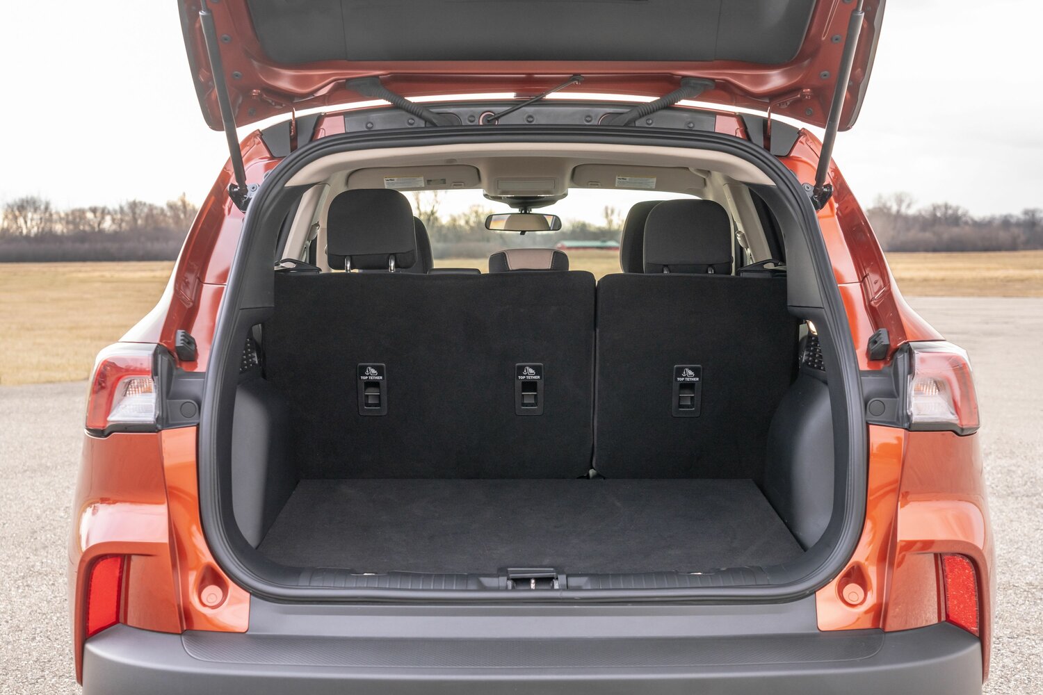 Ford Escape IV, 2021, фото 12