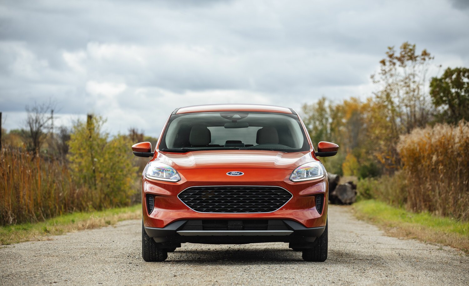 Ford Escape IV, 2021, фото 2