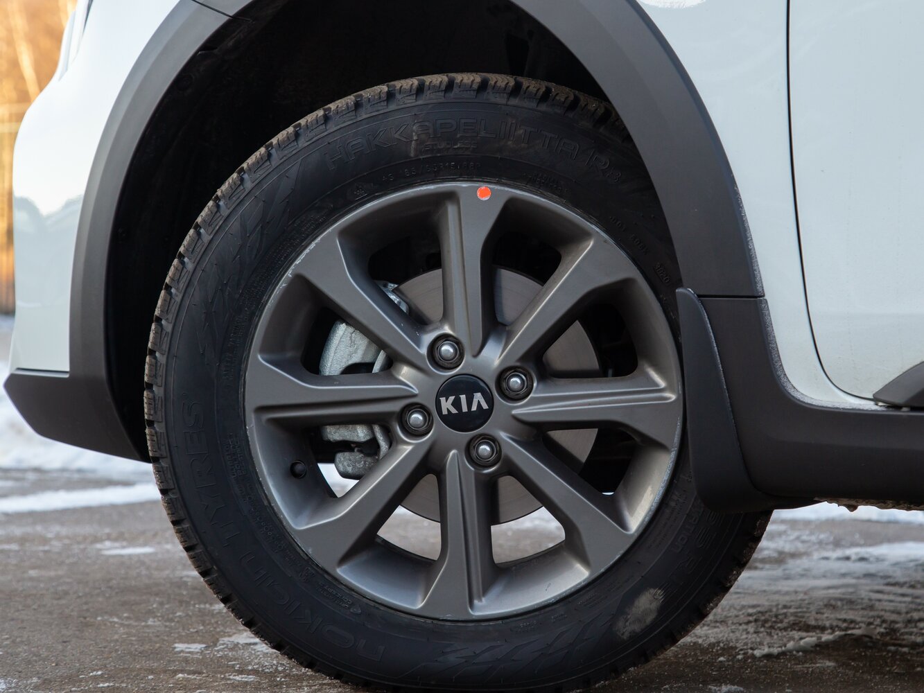 Kia Rio IV Рестайлинг, 2021, фото 32