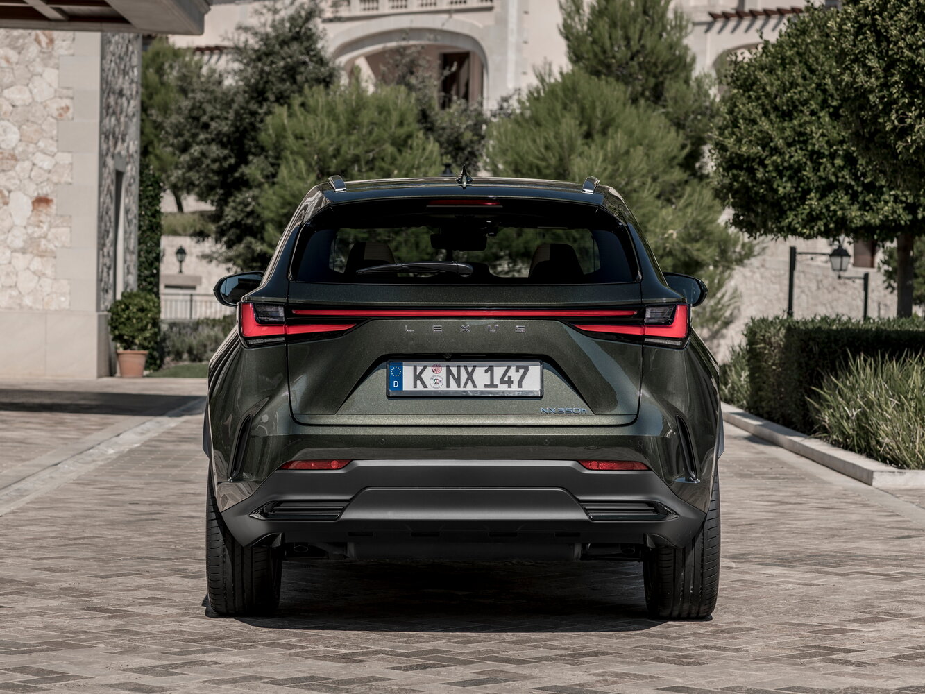 Lexus NX II, 2021, фото 16