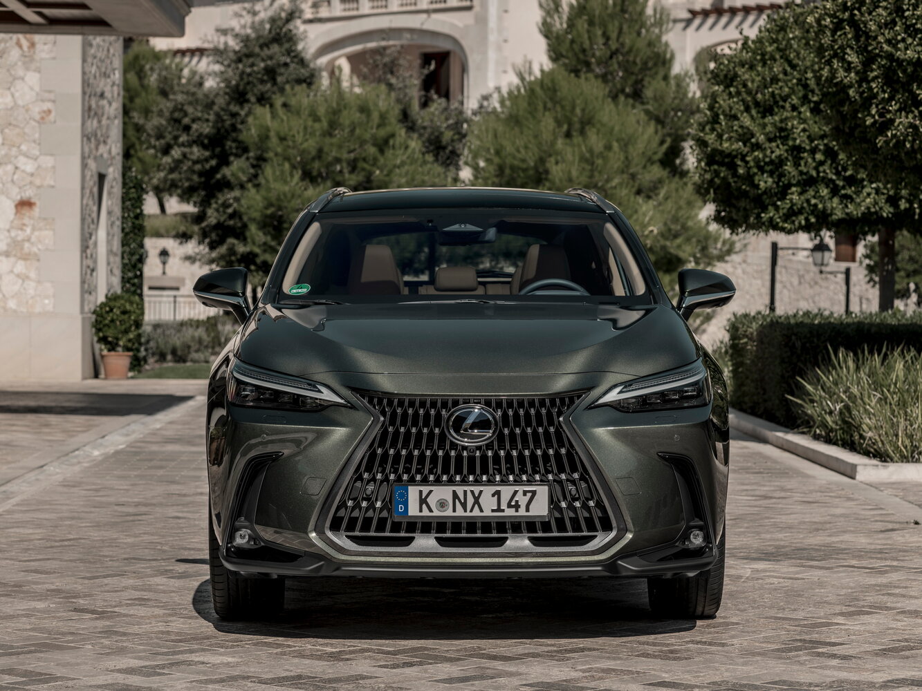 Lexus NX II, 2021, фото 6