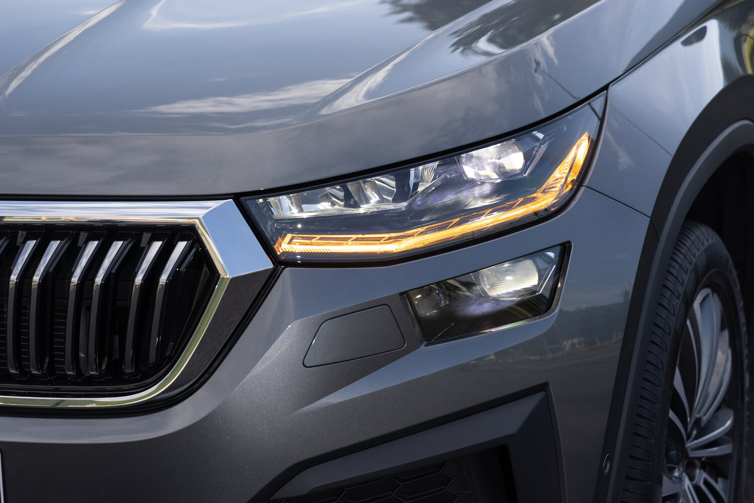 Skoda Kodiaq I Рестайлинг, 2022, фото 2