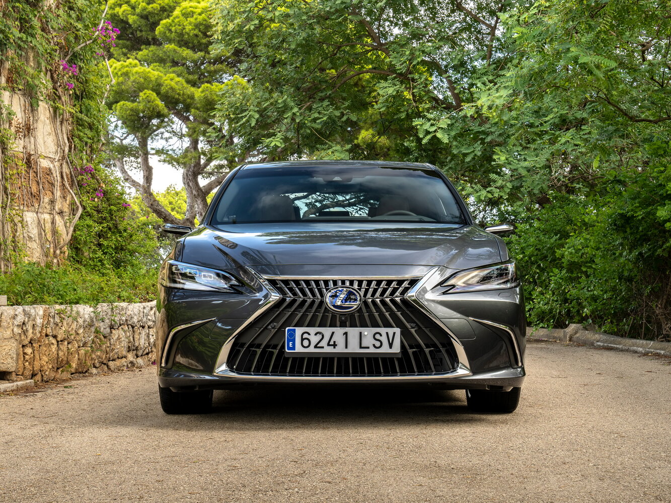 Lexus ES VII Рестайлинг, 2021, фото 36