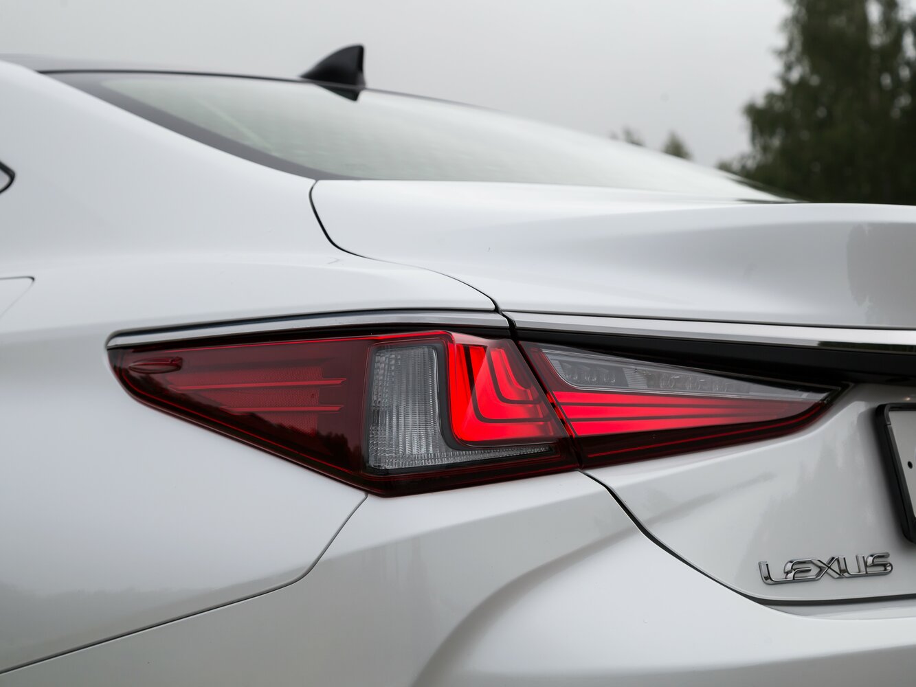 Lexus ES VII Рестайлинг, 2021, фото 32
