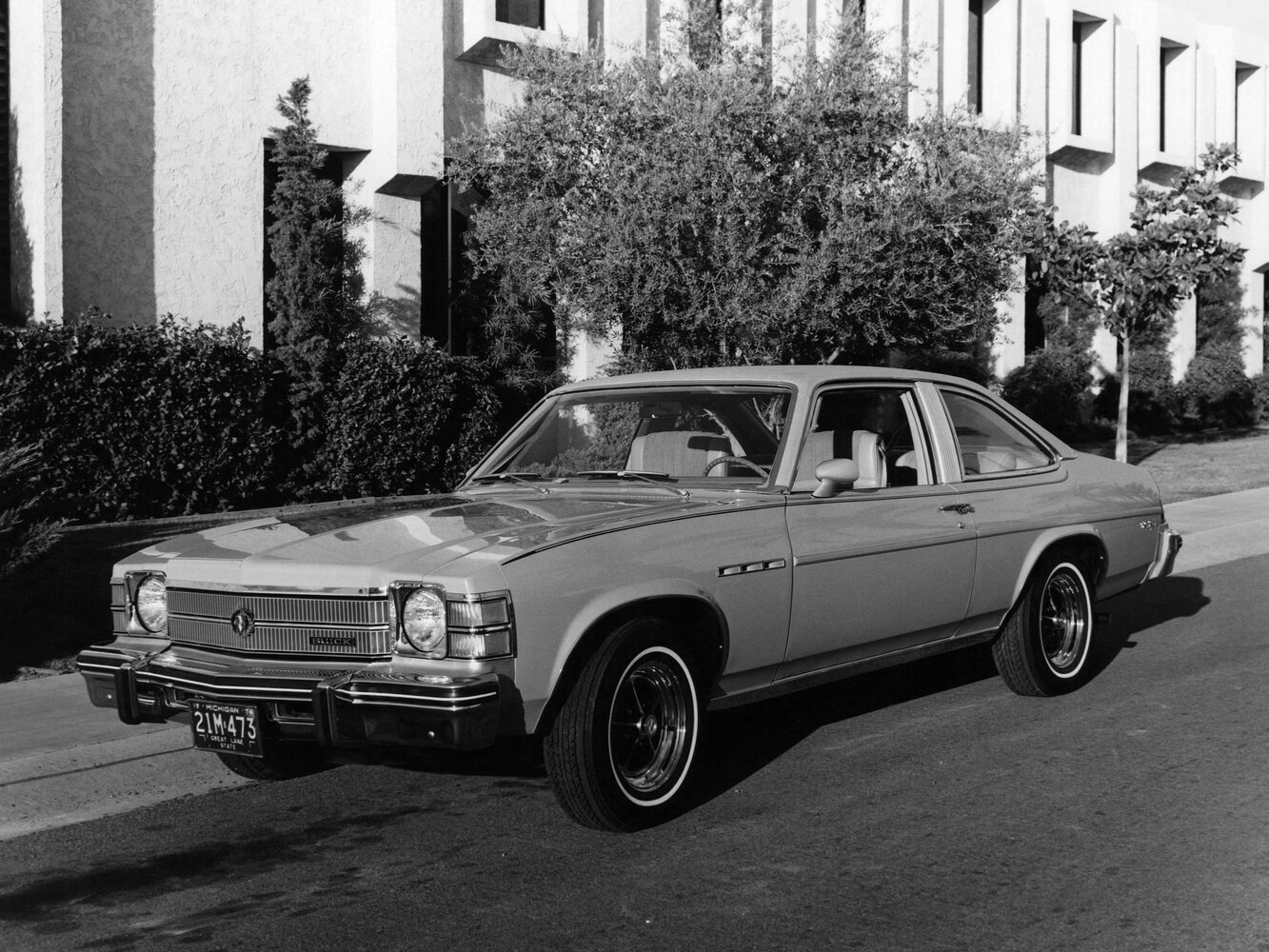 Buick Skylark IV, 1975, фото 2