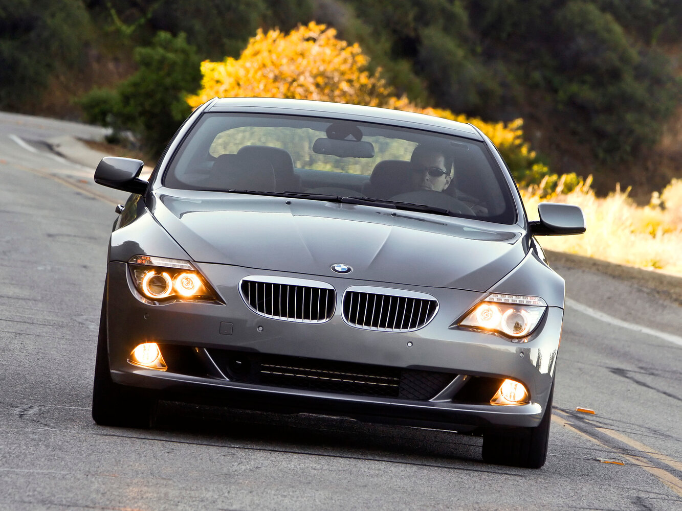BMW 6 series II (E63/E64) Рестайлинг, 2010, фото 9