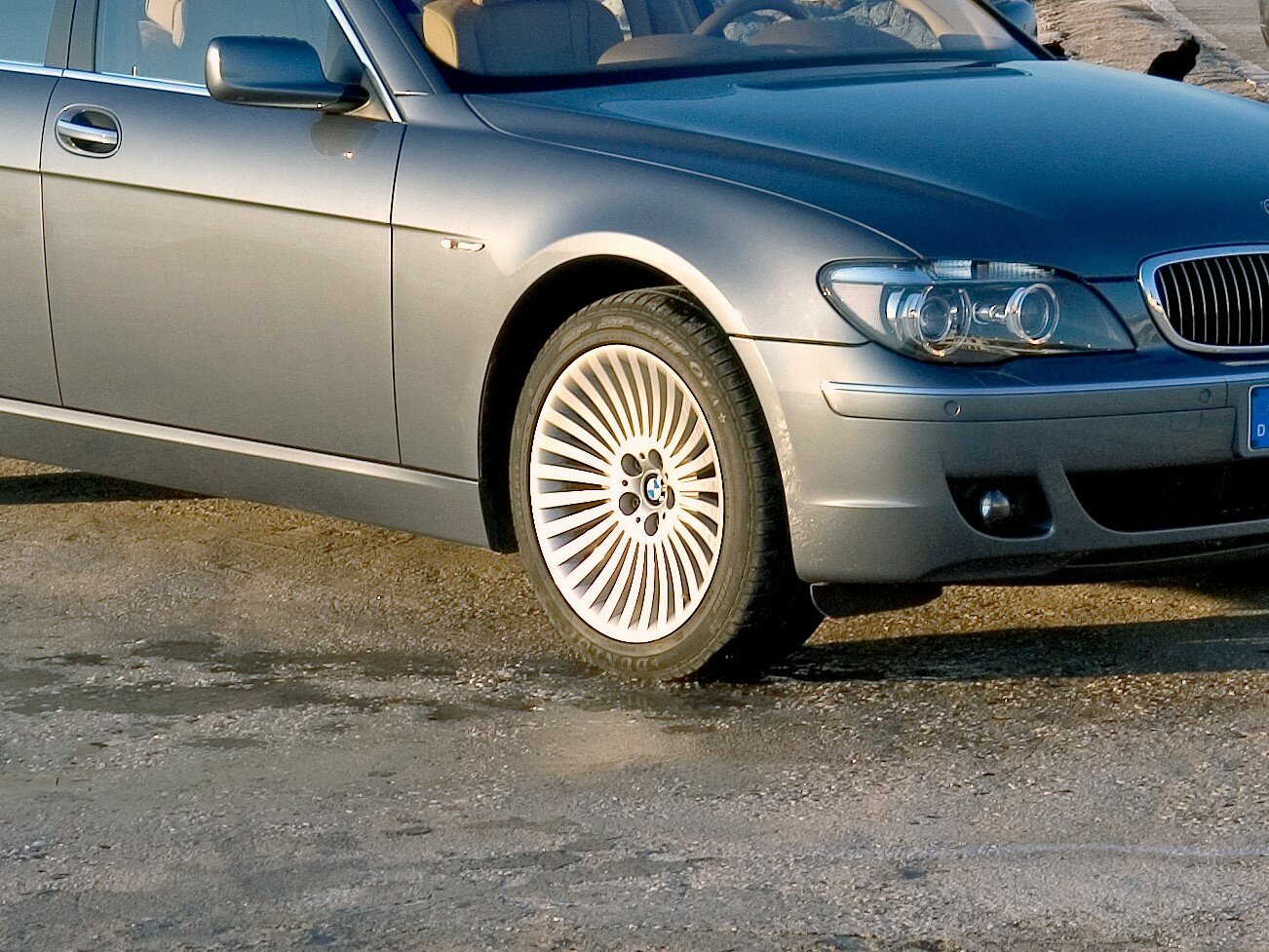 BMW 7 series IV (E65/E66) Рестайлинг, 2007, фото 3