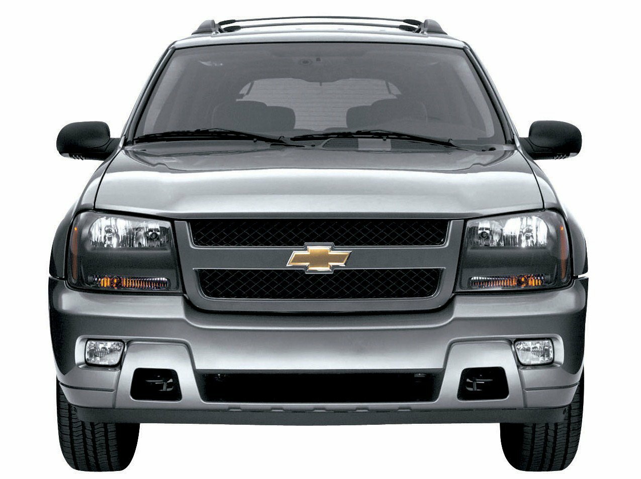 Chevrolet TrailBlazer I Рестайлинг, 2009, фото 4