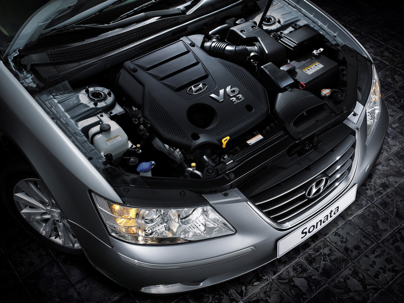 Hyundai Sonata V (NF), 2004, фото 2