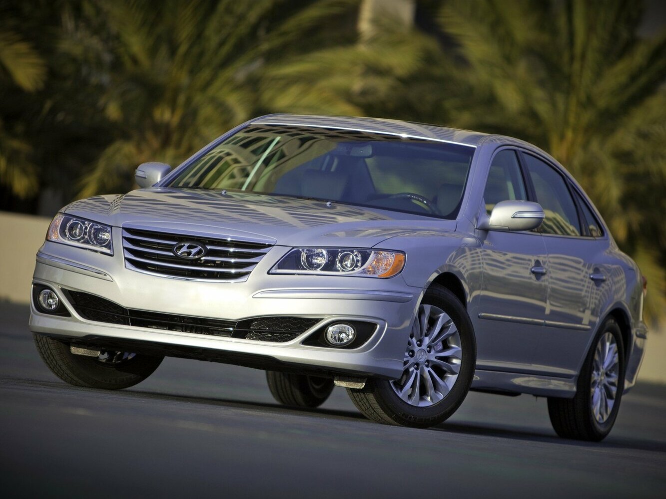 Hyundai Azera I, 2008, фото 2