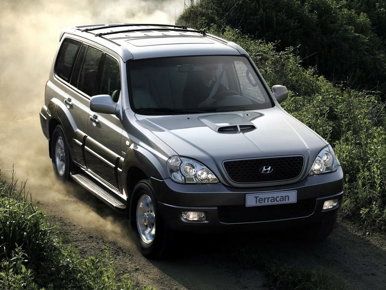 Hyundai Terracan I Рестайлинг, 2007, фото 3