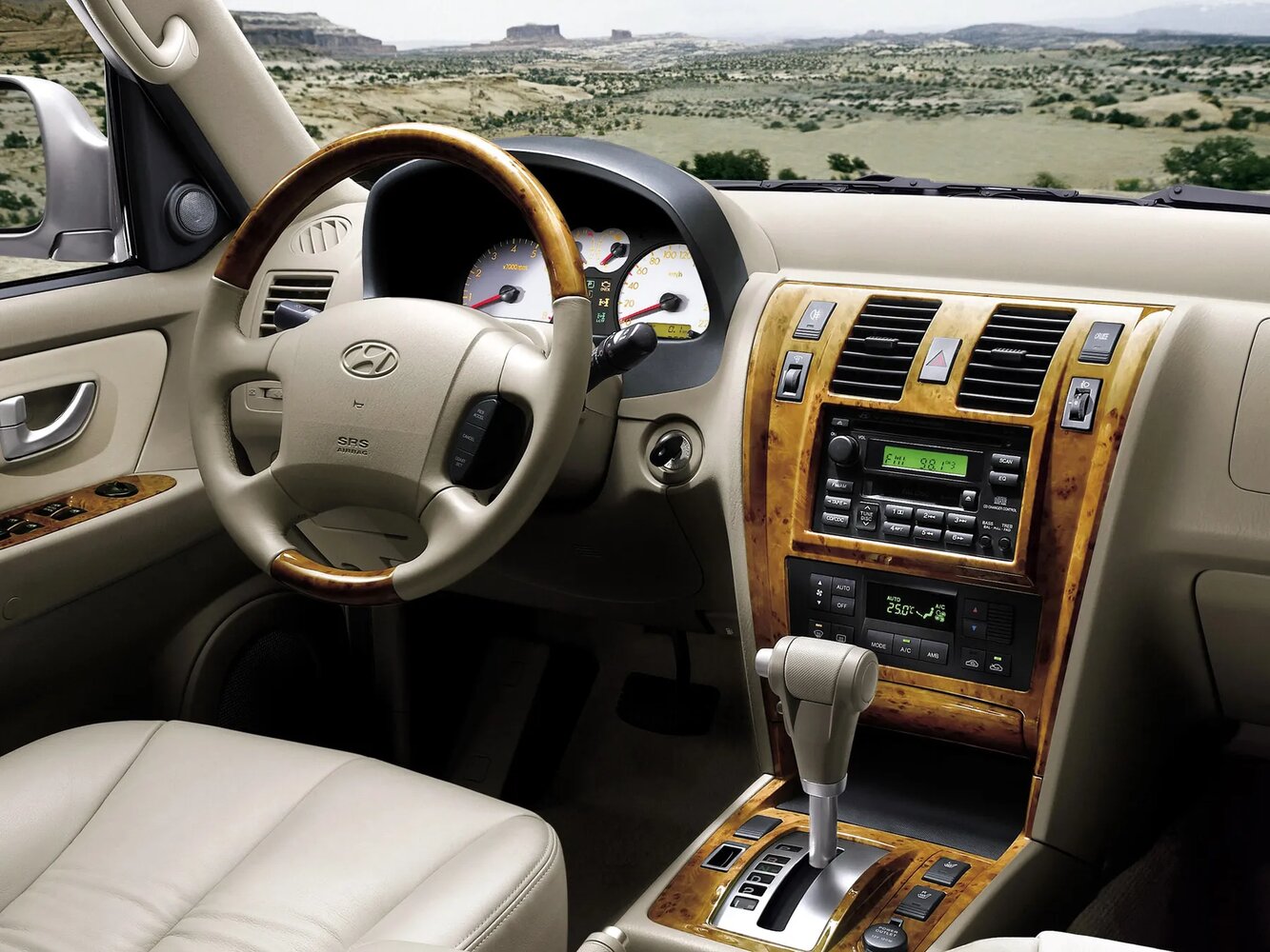 Hyundai Terracan I Рестайлинг, 2007, фото 6