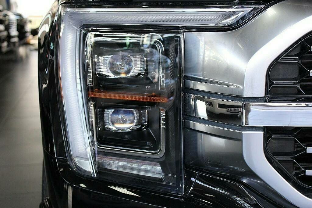 Ford F-150 XIV, 2020, фото 7