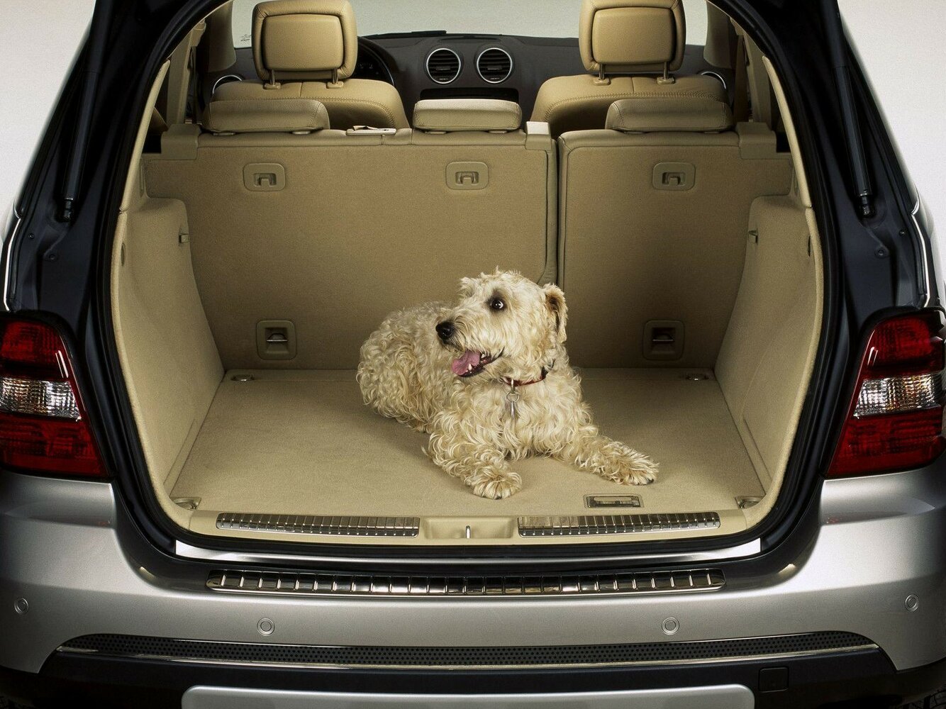 Mercedes-Benz M-Класс II (W164) Рестайлинг, 2011, фото 6