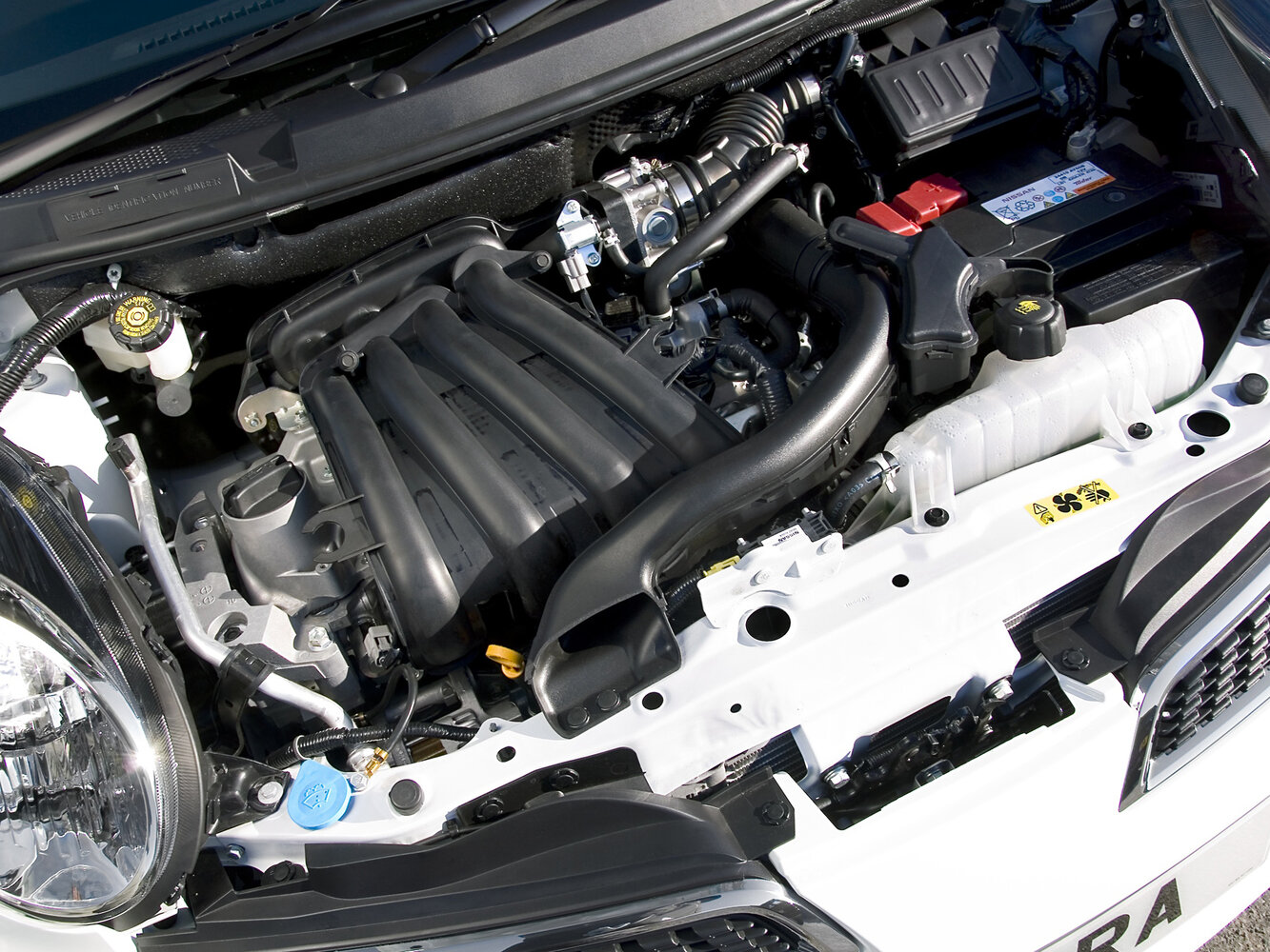 Nissan Murano I (Z50), 2006, фото 10
