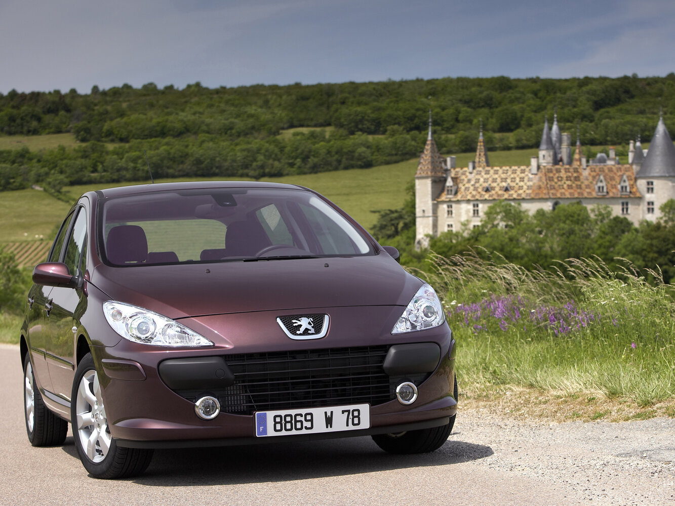 Peugeot 307 I Рестайлинг, 2007, фото 3