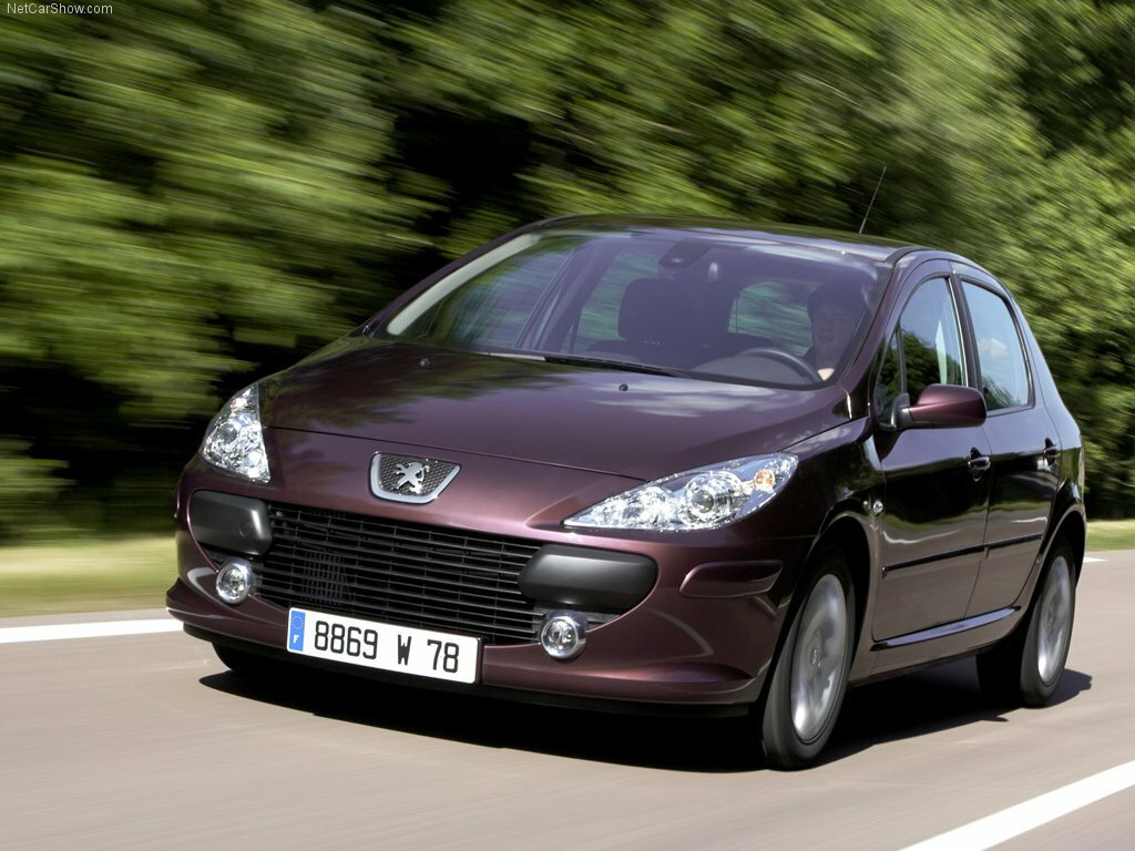 Peugeot 307 I Рестайлинг, 2007, фото 5
