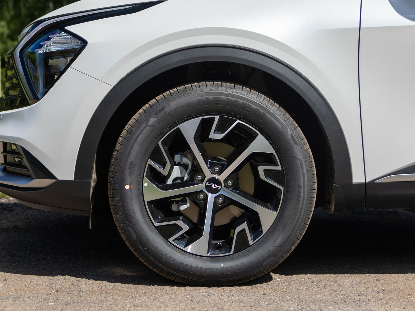 Kia Sportage V, 2022, фото 11