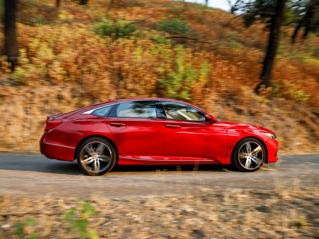 Honda Accord X Рестайлинг, 2022, фото 11
