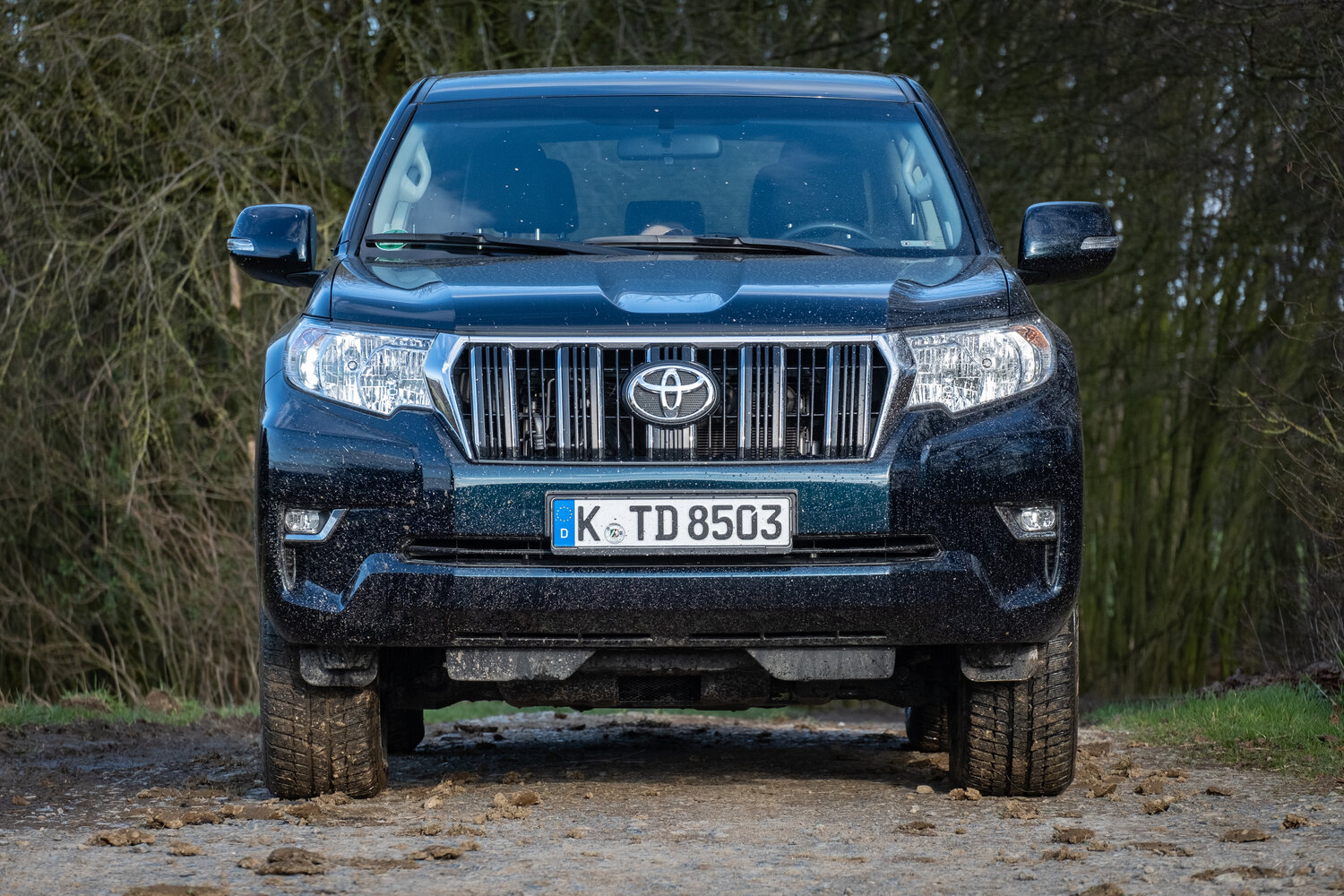 Toyota Land Cruiser Prado 150 Series Рестайлинг 2, 2017, фото 8
