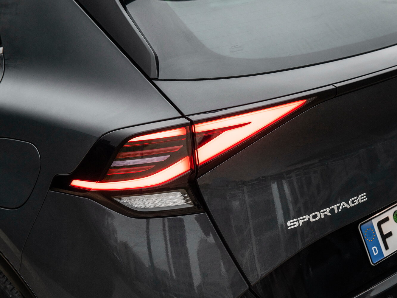 Kia Sportage V, 2024, фото 19