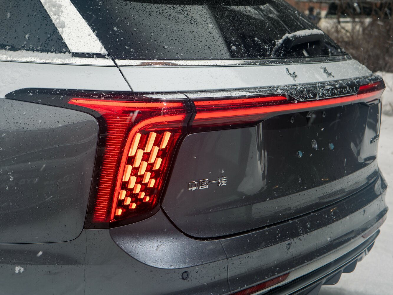 Hongqi E-HS9, 2025, фото 7