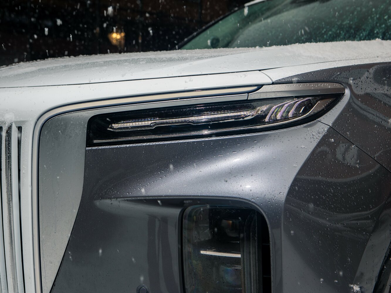 Hongqi E-HS9, 2025, фото 2