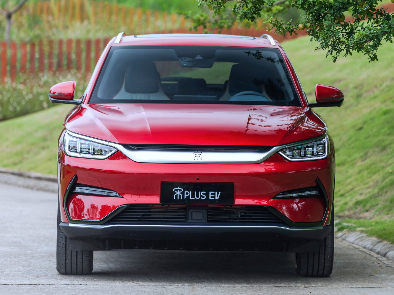 BYD Song Plus I, 2020, фото 5