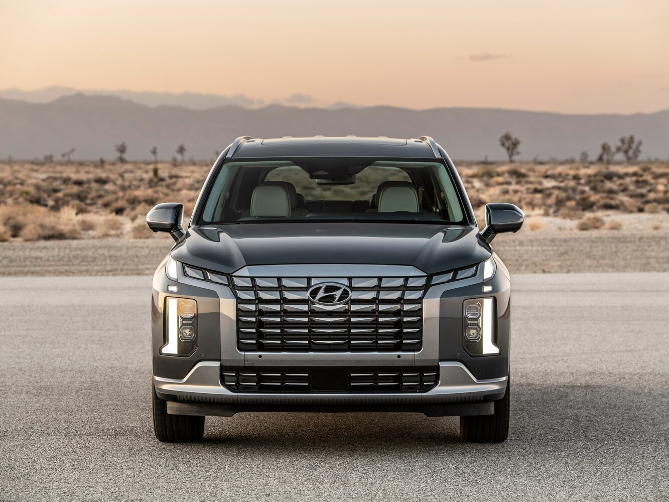 Hyundai Palisade I Рестайлинг, 2022, фото 15
