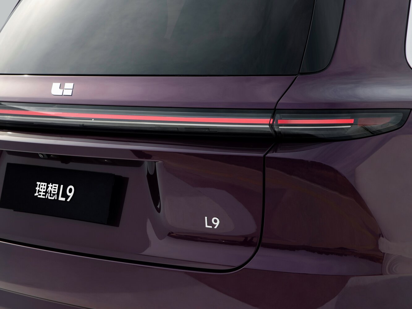 Li Auto (Lixiang) L9 I, 2024, фото 13