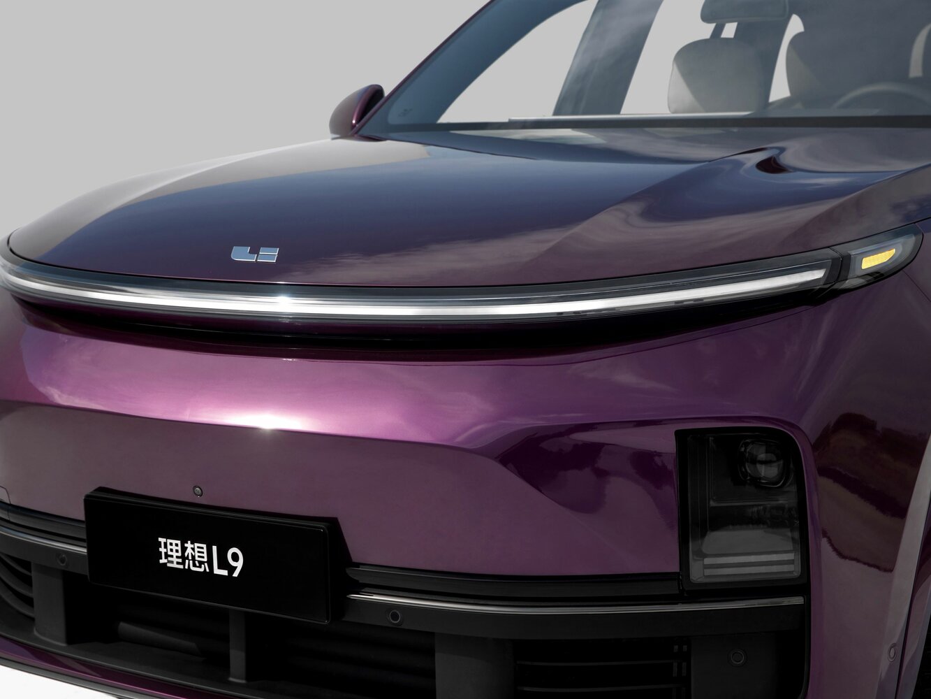 Li Auto (Lixiang) L9 I, 2024, фото 8
