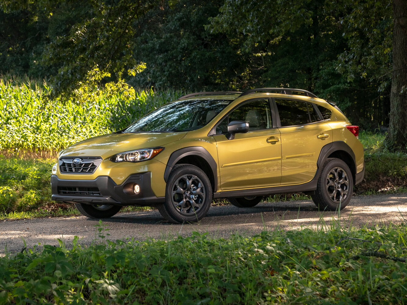 Subaru Crosstrek II Рестайлинг, 2021, фото 18