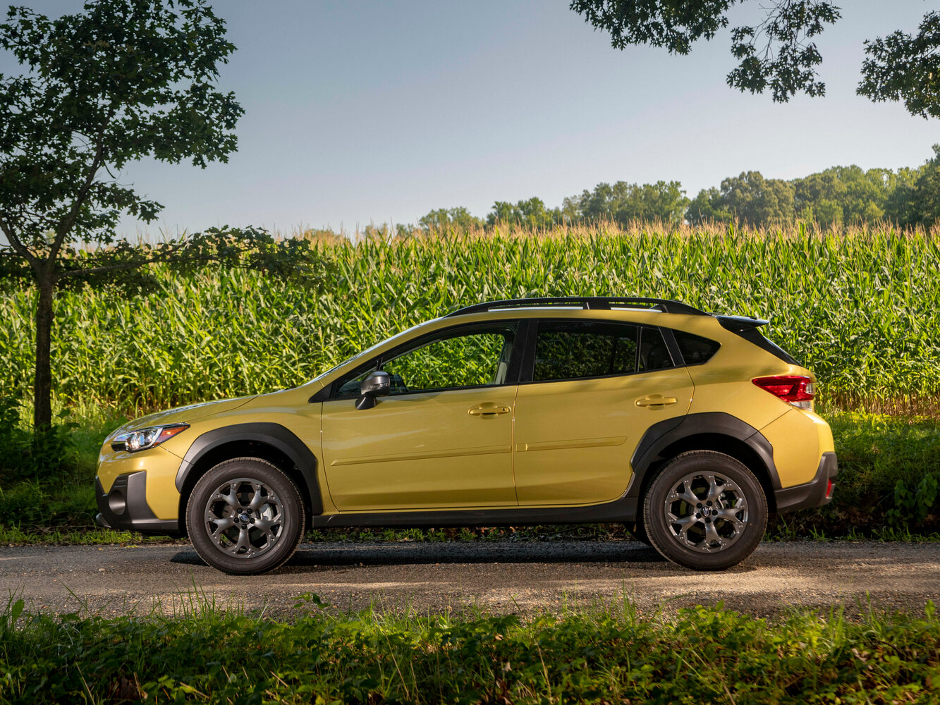 Subaru Crosstrek II Рестайлинг, 2021, фото 10