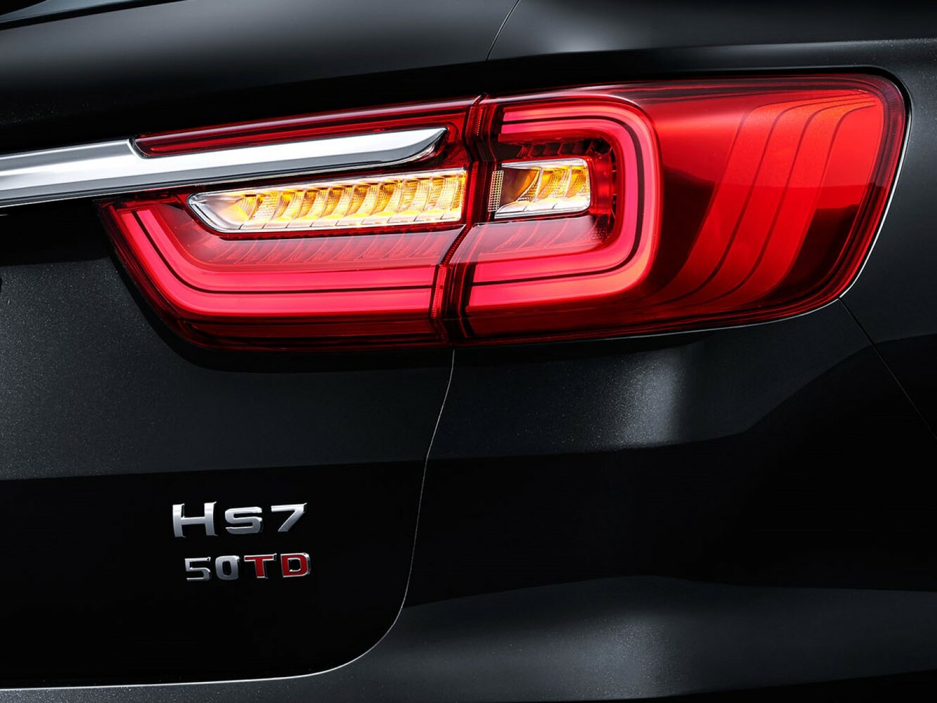 Hongqi HS7 I, 2023, фото 4