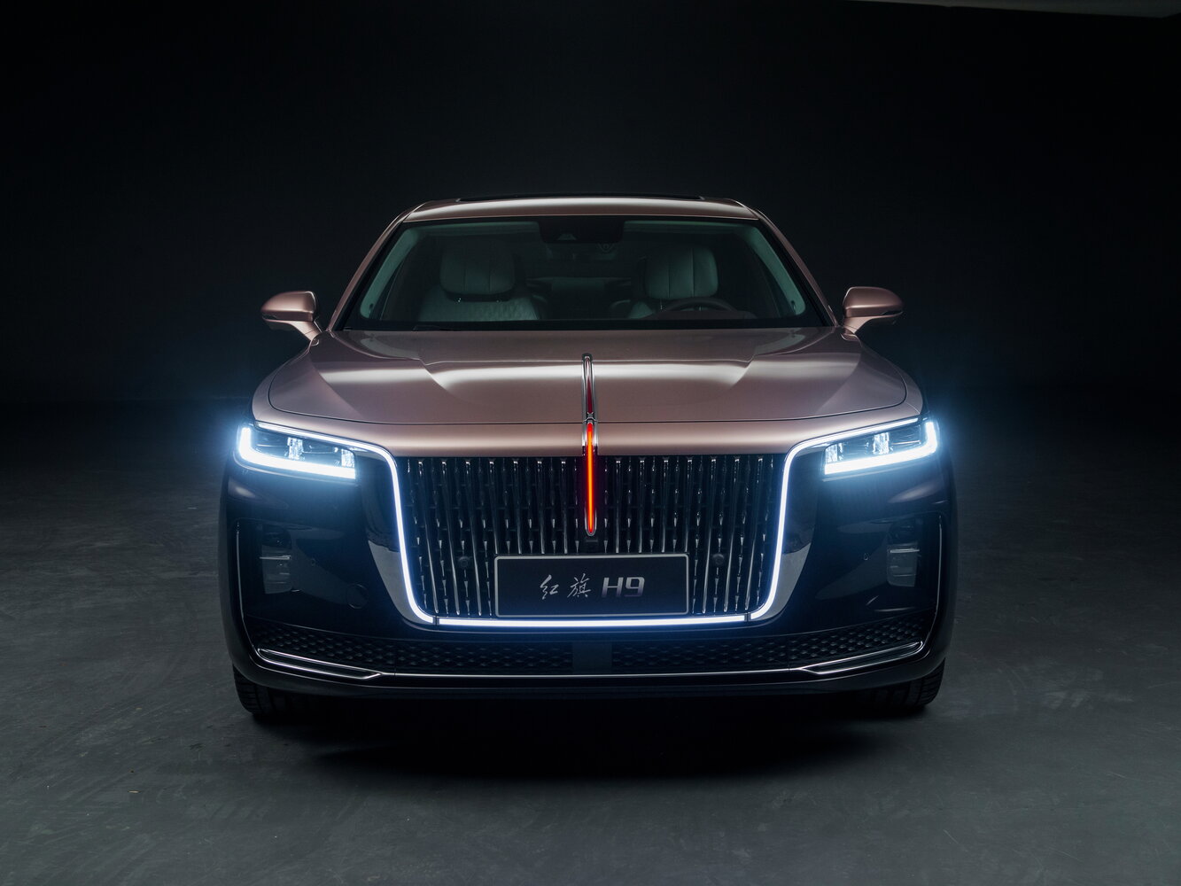 Hongqi H9 I, 2020, фото 2