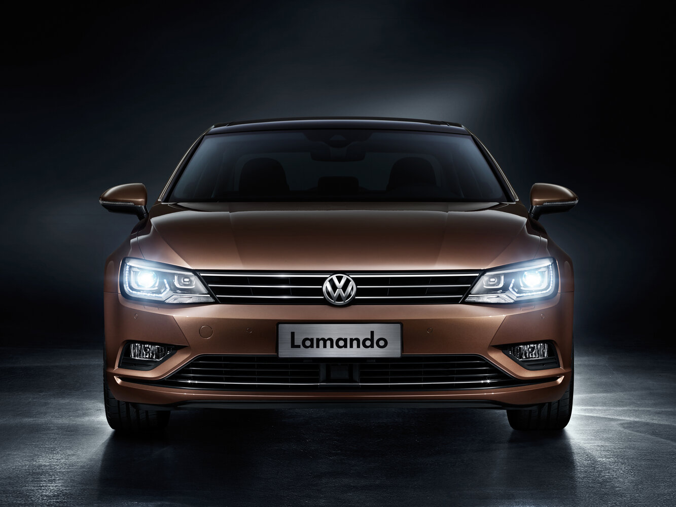 Volkswagen Lamando I, 2014, фото 3