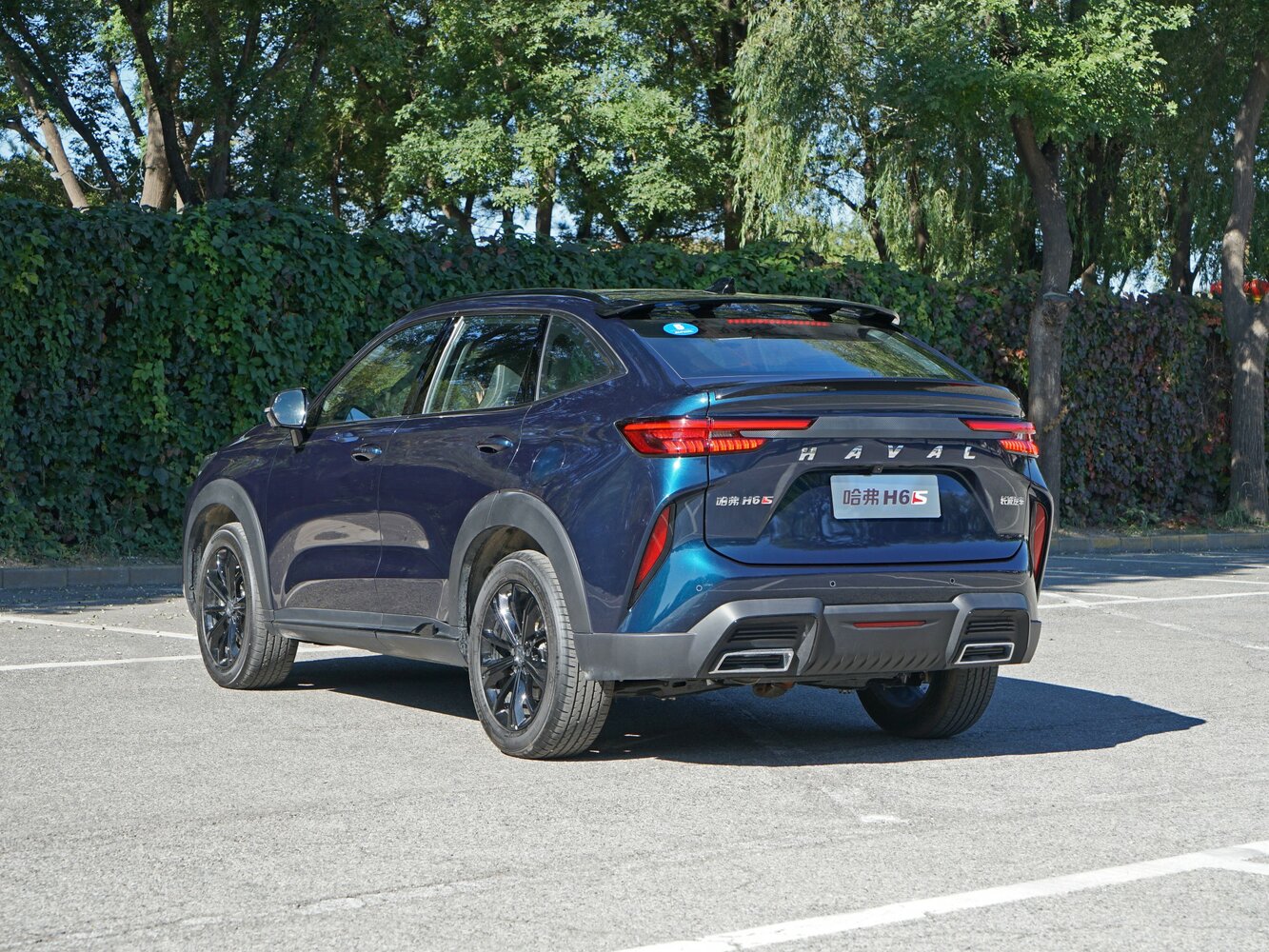 Haval H6S, 2024, фото 5