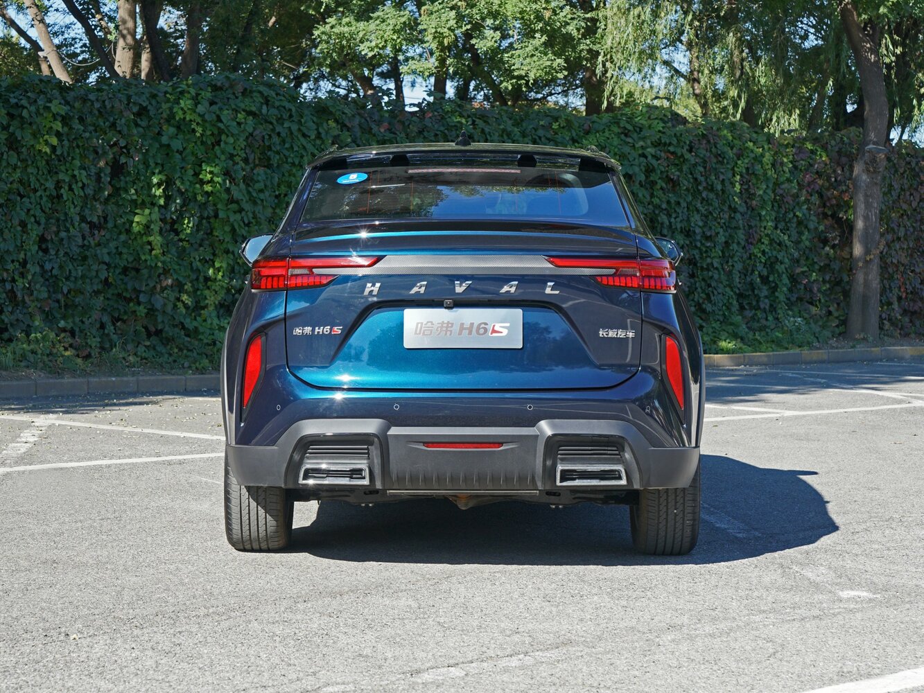 Haval H6S, 2024, фото 4