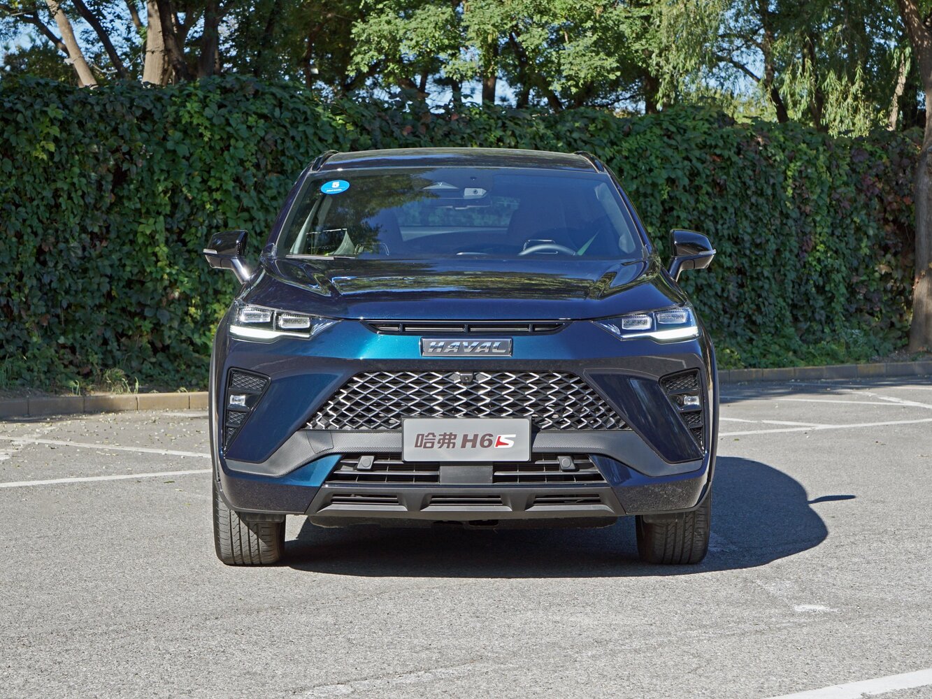Haval H6S, 2024, фото 3